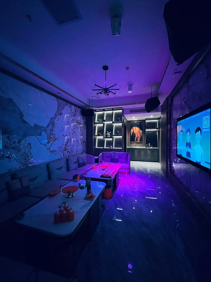 忻州商务ktv打造全新商务ktv新模式-五寨县ktv预定